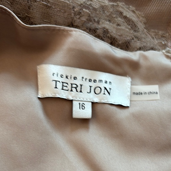 Elegant Lace Evening Gown by Rickie Freeman Teri John Size 16 Color Taupe - Picture 8 of 9